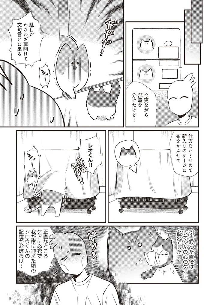 『レオとシロウのドタバタ猫日記』より