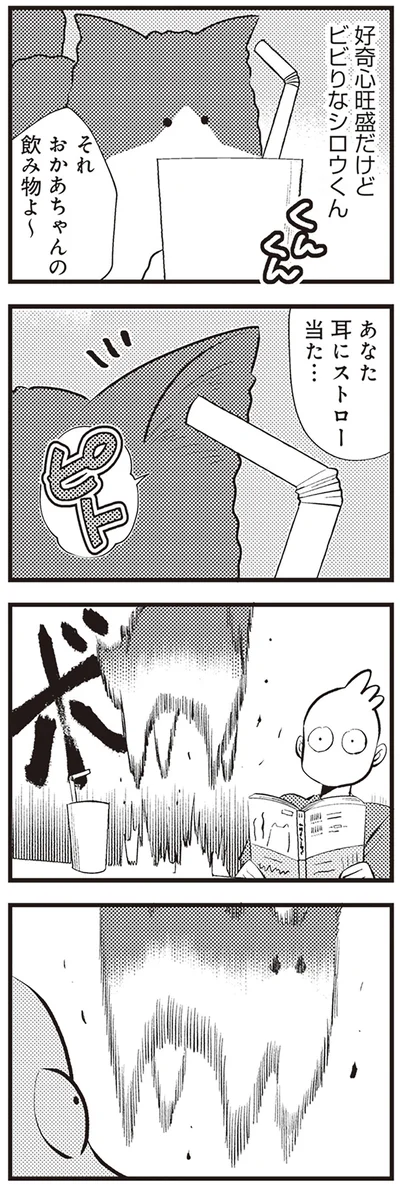 『レオとシロウのドタバタ猫日記』より