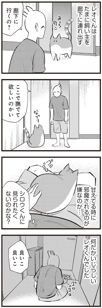 『レオとシロウのドタバタ猫日記』より