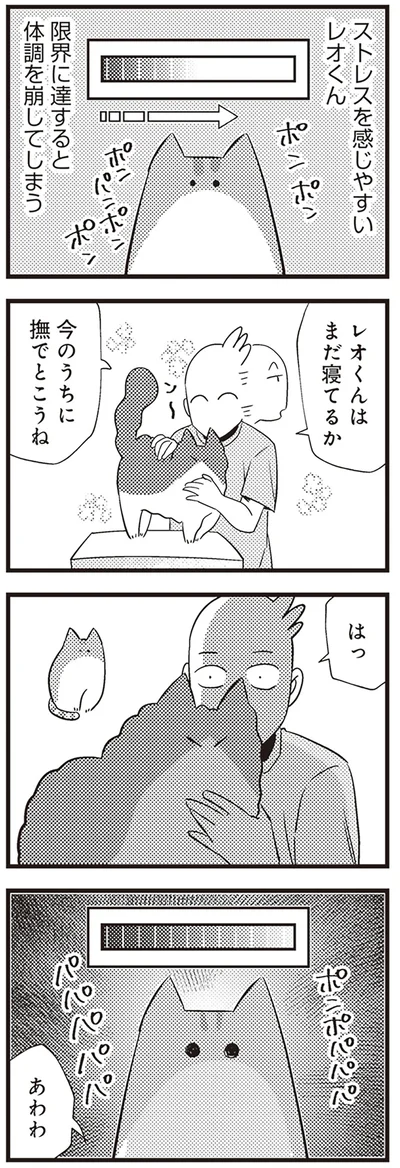 『レオとシロウのドタバタ猫日記』より