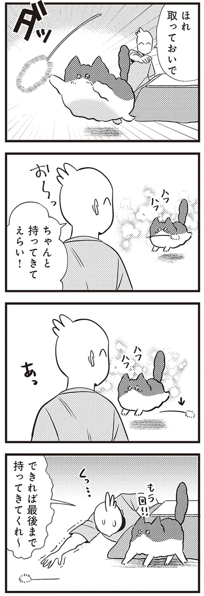 『レオとシロウのドタバタ猫日記』より