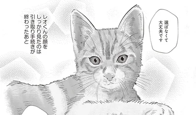 顔をしっかり見たのは