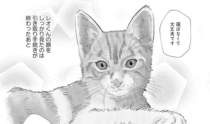 顔をしっかり見たのは