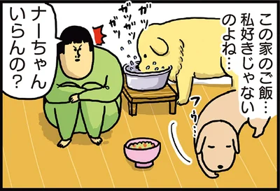 ご飯いらないの？