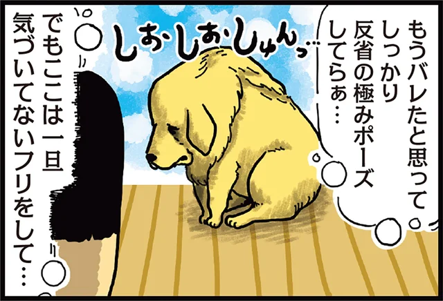 イタズラがバレたときの表情がスゴい。反省してる仕草だけはプロ級の犬／まめきちまめこニートの日常 こまちとタビ（3）