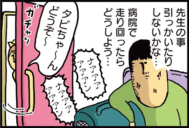 猫が病院でも暴れまわったらどうしよう？ 飼い主の心配は杞憂に終わりました／まめきちまめこニートの日常 こまちとタビ（4）