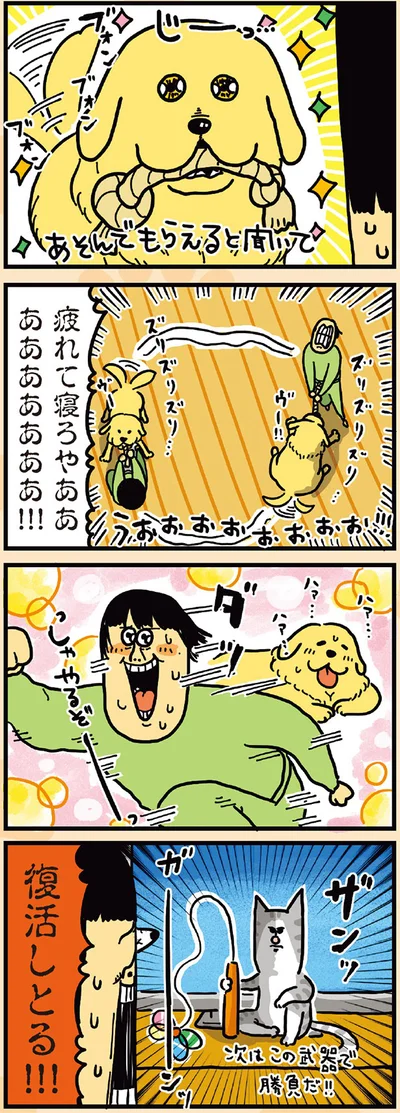 復活しとる!!!