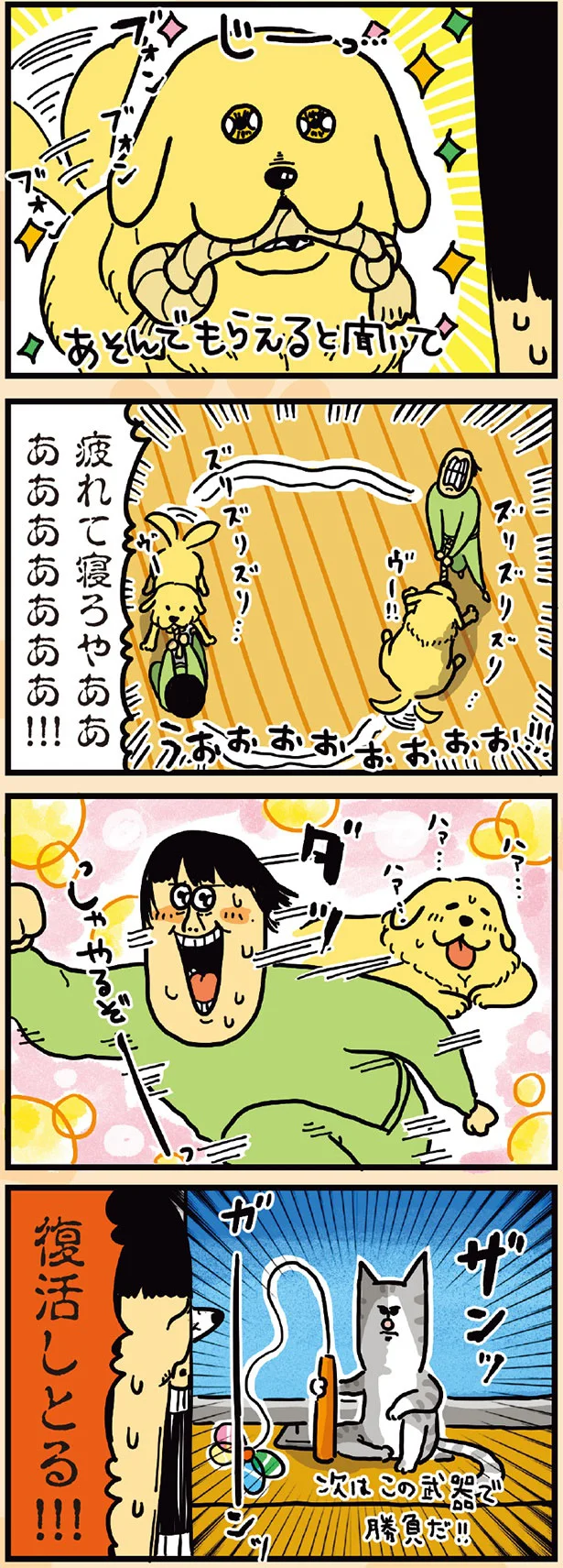 復活しとる!!!