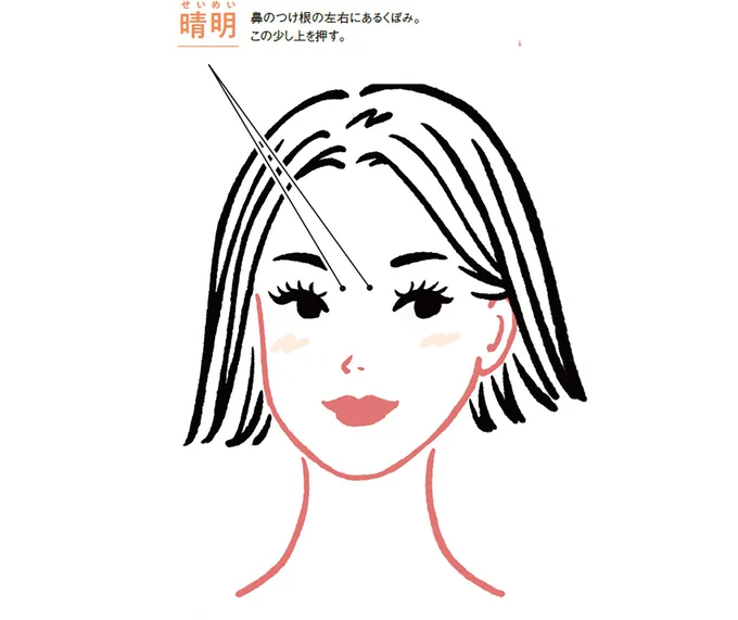 眼精疲労のツボ「晴明」