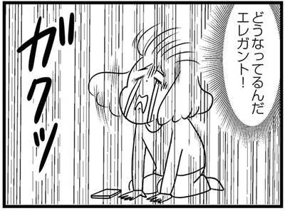 どうなってるんだエレガント！