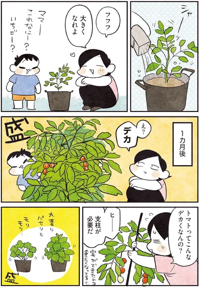 『3000円ではじめる しあわせ趣味時間』より