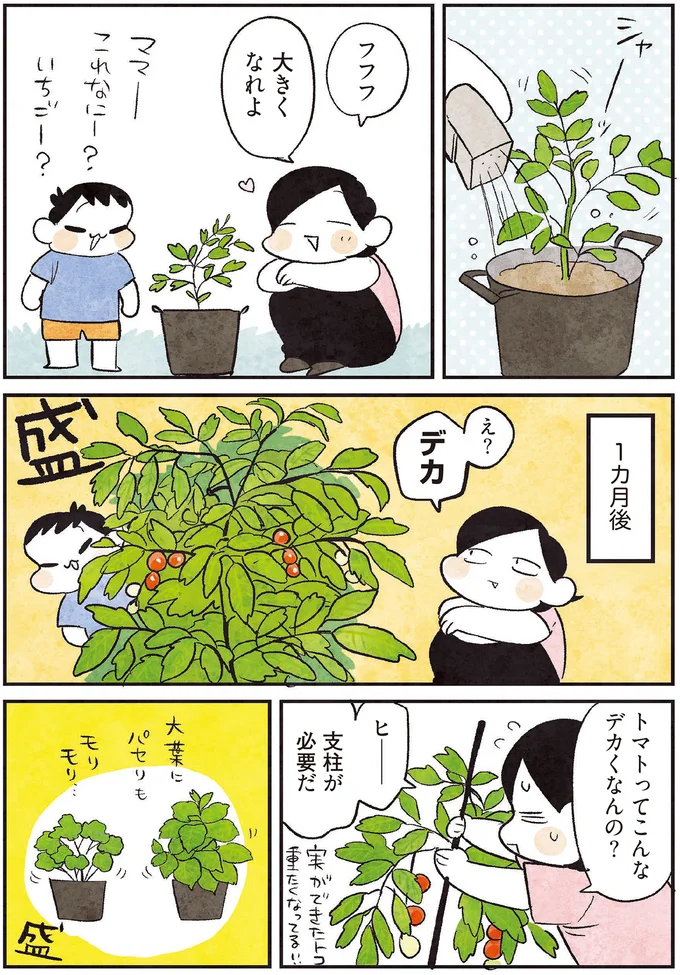『3000円ではじめる しあわせ趣味時間』より