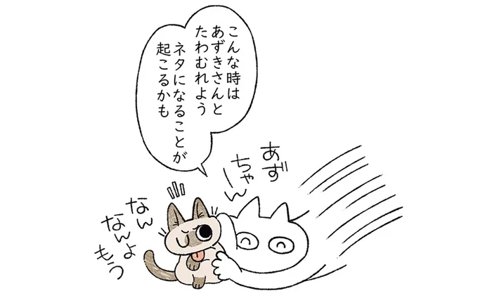 マンガのネタになることが起こるかも！ 猫とたわむれてみた結果