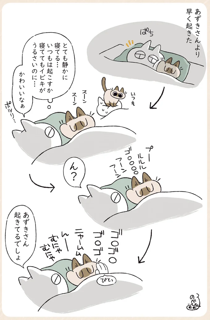 かわいいなぁ