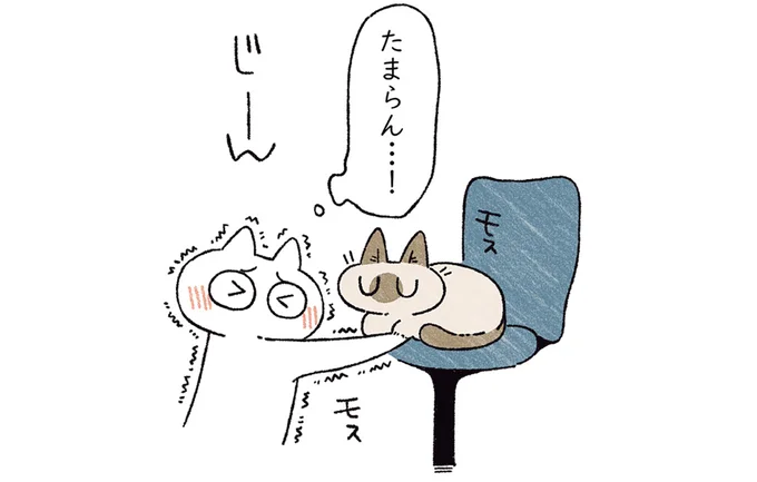 前足の隙間…たまらん…