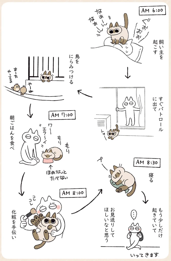 朝のあずきさん