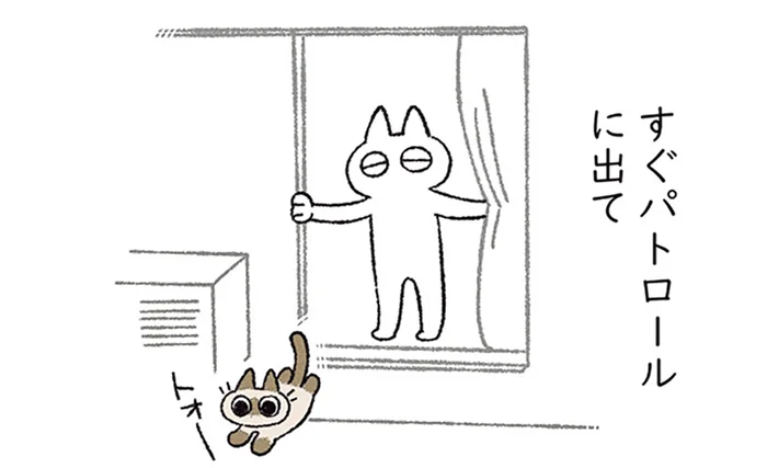 飼い主を起こしてパトロールに。猫の朝ルーティンを紹介します