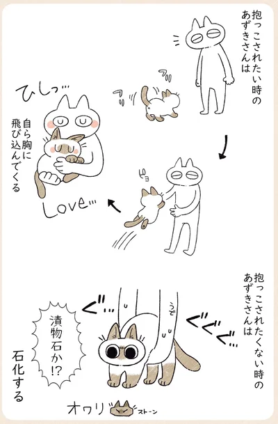石化する