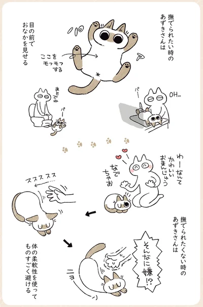 撫でられたい時、撫でれられたくない時