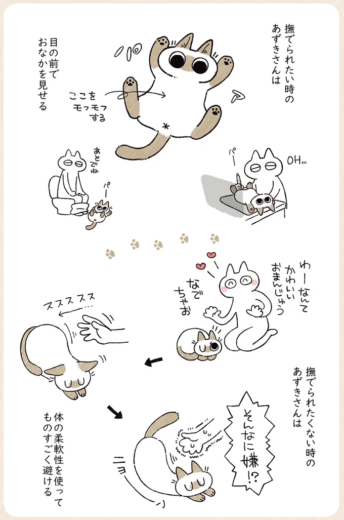 撫でられたい時、撫でれられたくない時