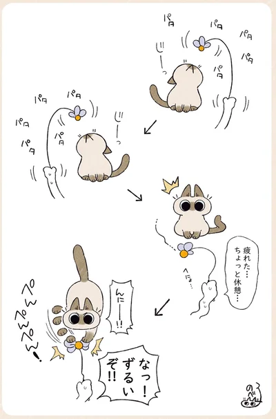 ちょっと休憩…