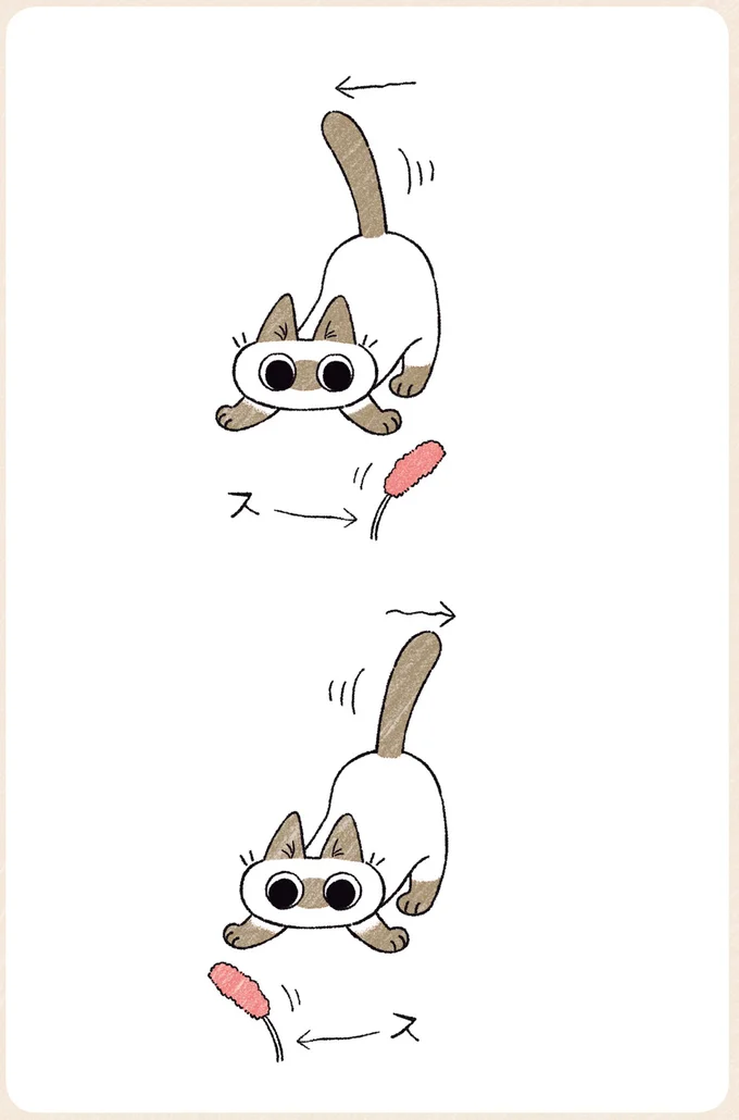 しっぽの動き