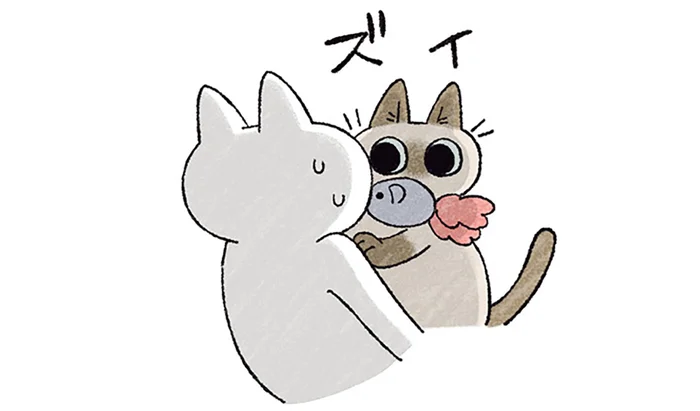 うたた寝する飼い主をおもちゃが襲う！ 猫の強引な遊びへのお誘い