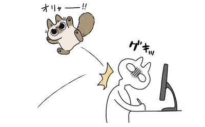 猫の襲撃！