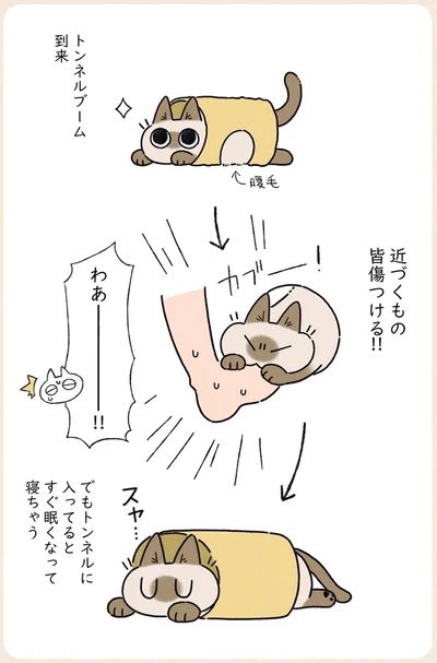 近づくもの皆傷つける！！
