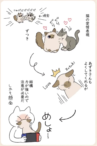 注意が必要だ