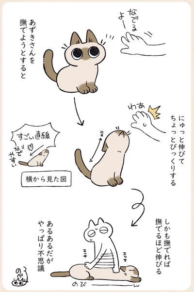 あるあるだがやっぱり不思議