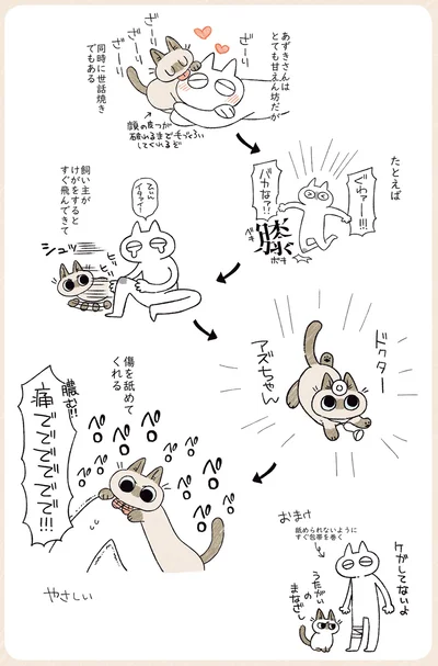 とても甘えん坊だが