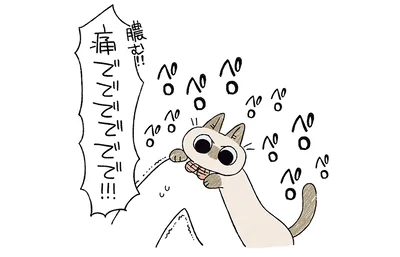 痛ででででででで！
