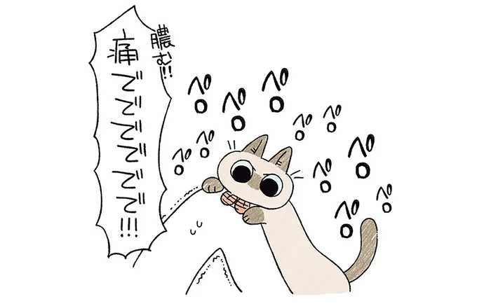 痛ででででででで!