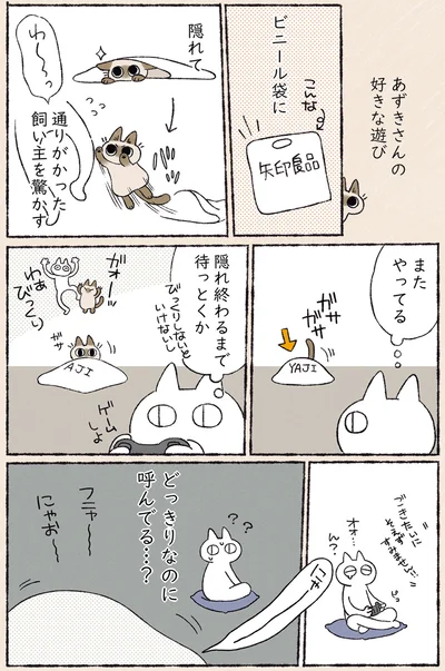 あずきさんの好きな遊び