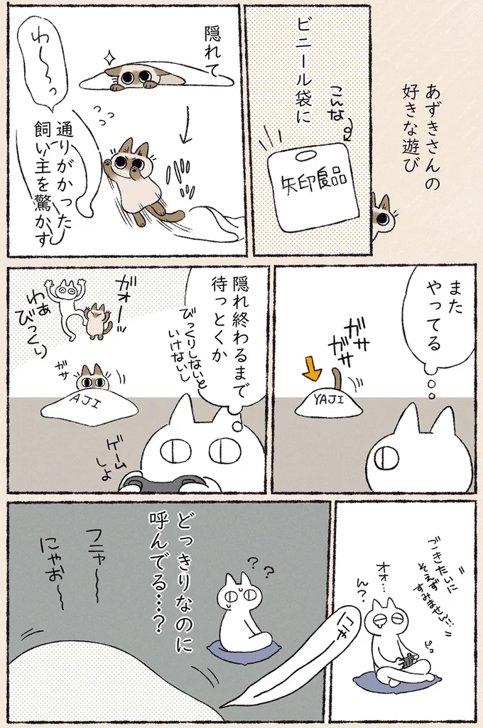 あずきさんの好きな遊び