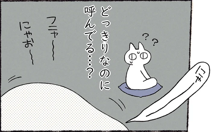 どっきりなのに呼んでいる？ 猫がハマっている不思議な行動