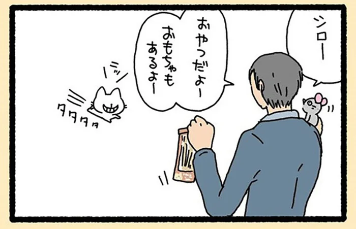 おやつとおもちゃで上機嫌だったのに。愛猫が「のっぺらぼう」になった理由