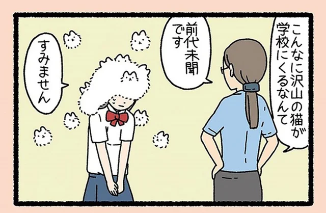 ねこが無数に飛び出してくる!? 「けさらんぱさらん」がカバンの中に隠れてた！