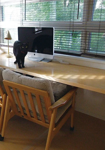猫が頻繁に出入りする仕事部屋
