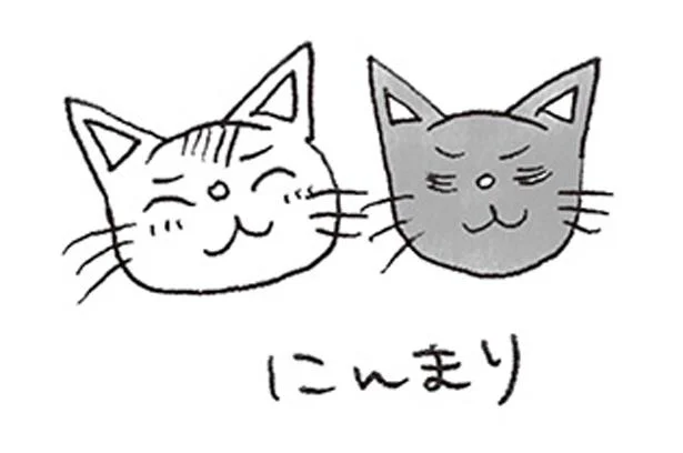 2匹の猫(くるりとぼっけ)