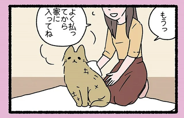 お手入れが終わらない！ 飼い主泣かせの「すなかけばばあ」
