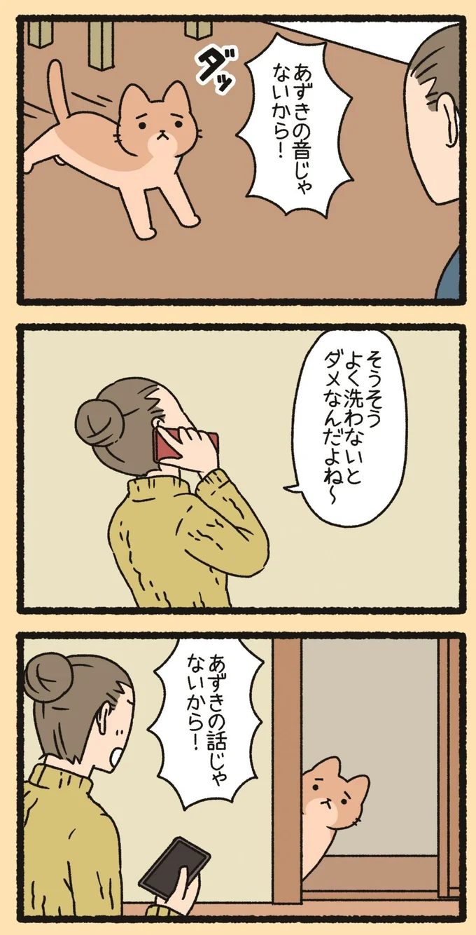 あずきの話じゃないから！