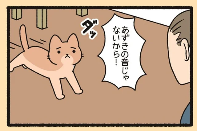 ついお米を研ぐ音に反応！ 可愛すぎる「あずきあらい」の勘違い