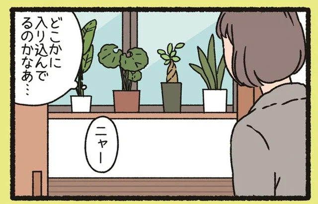 「家の中で猫の声がする」ねこがいたまさかの場所にびっくり！