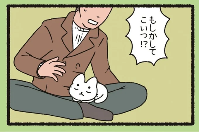 「もしかしてこいつ!?」旅館で出会った人懐っこいねこの正体は