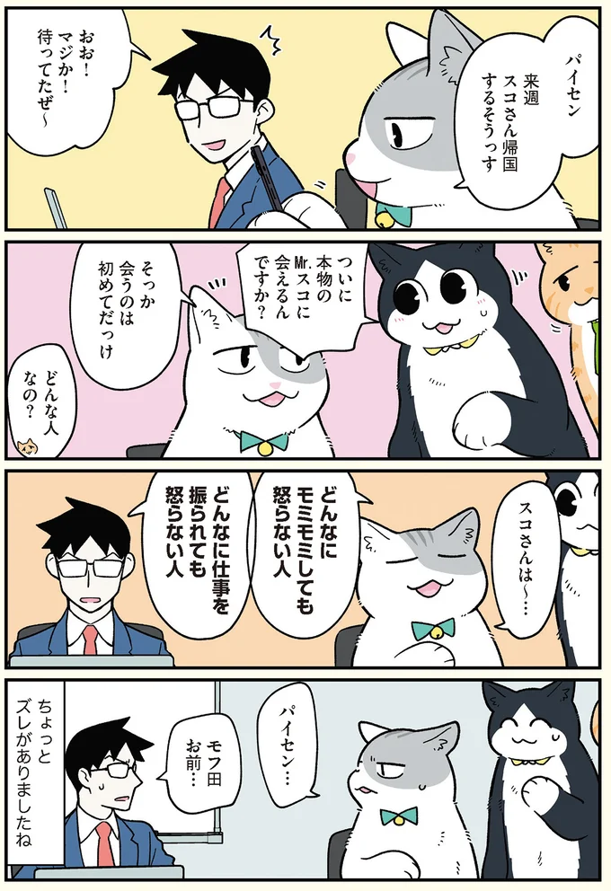 来週スコさん帰国するそうっす