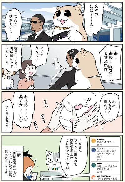 空港で足止めされちゃってますね