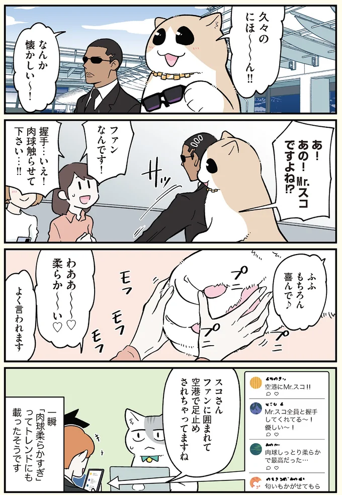 空港で足止めされちゃってますね