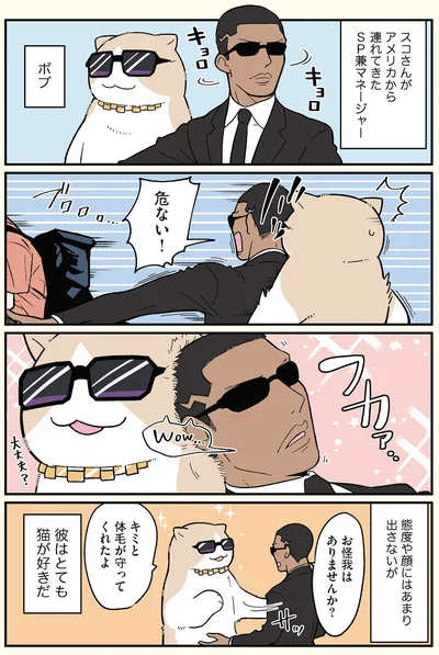 彼はとても猫が好きだ